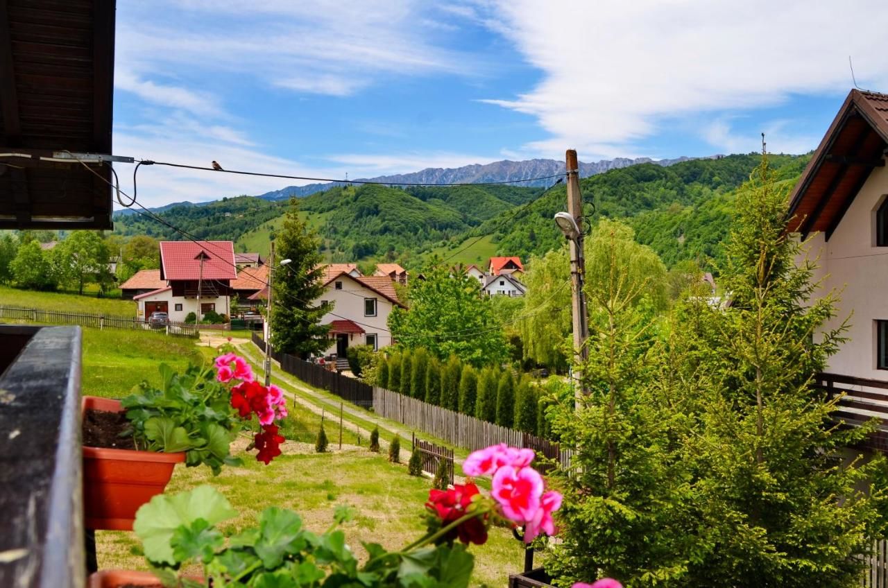 Гостевой дом Vila Ady Bran Бран