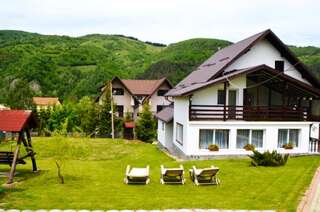 Гостевой дом Vila Ady Bran Бран Вилла-24