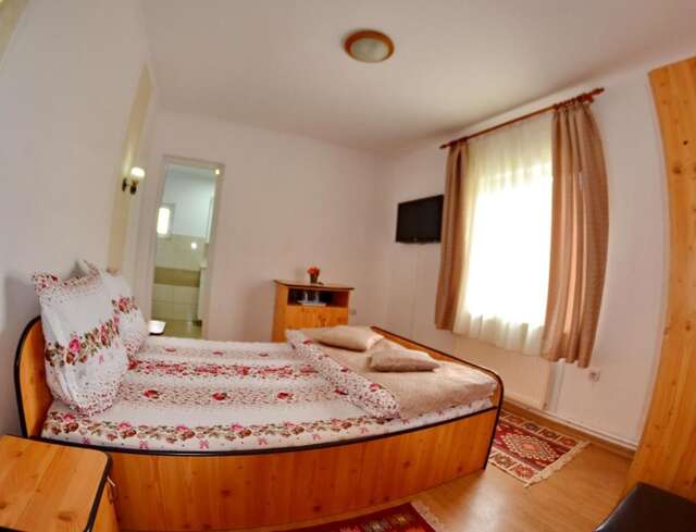 Гостевой дом Vila Ady Bran Бран-45
